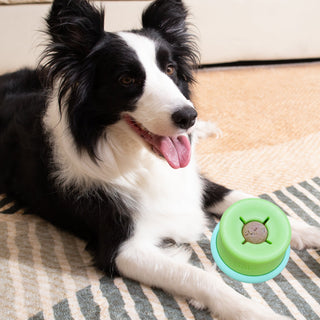 The Puzzle Feeder Puzzle Lickpop Interactive Enrichment Dog Toys | Henlo Pets