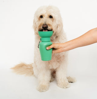 Springer Flip Dog Travel Water Bottle - Henlo Pets