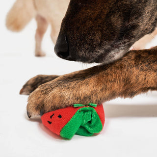 Cherry Tomato Nose Work & Tug Toy - Henlo Pets