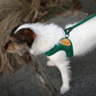 Charlie's Backyard - Adjustable Easy Harness Green - Henlo Pets