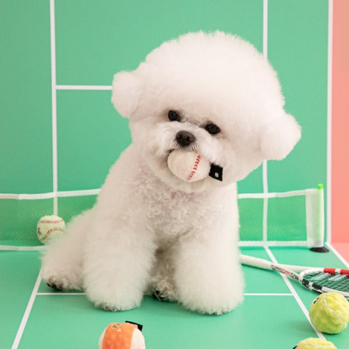 Bite Me - Mini Sports Ball Dog Toy (3pcs)