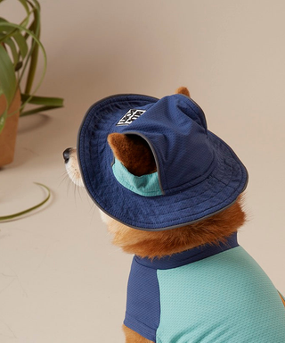 Blueport UPF 50+ UV Protection Bucket Hat - Henlo Pets