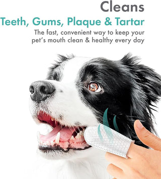 Petkin Fingertip Tooth Wipes - Henlo Pets