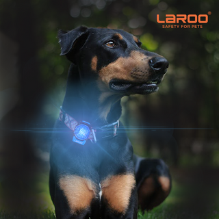 Laroo Beacon Rechargeable LED Safety Light | Henlo Pets