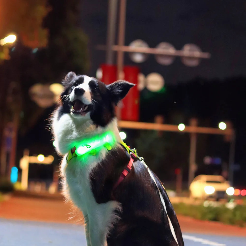 Laroo Crocodile Blinker LED Safety Band - Neon Green - Henlo Pets