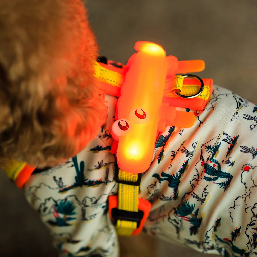 Laroo Crocodile Blinker LED Safety Band - Orange - Henlo Pets