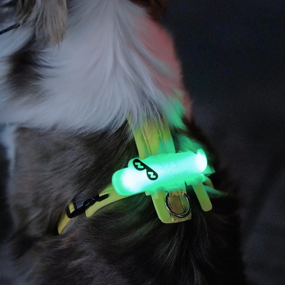 Laroo Crocodile Blinker LED Safety Band - Neon Green - Henlo Pets