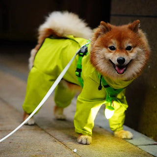 Laroo Nut Blinker LED Safety Light - Green - Henlo Pets