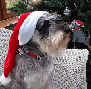 Christmas Decoration/Ornament - Schnauzer | Henlo Pets