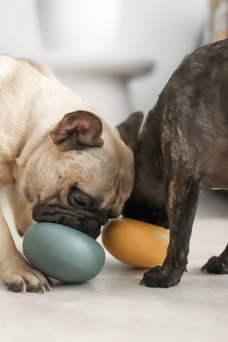 Lunoji Pebble Slow Feeder & Treat Dispenser | Henlo Pets