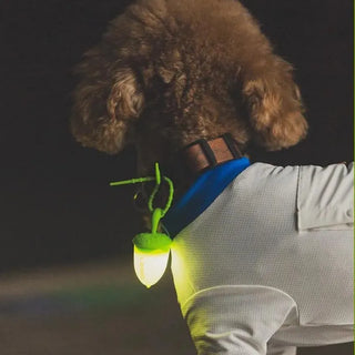 Laroo Nut Blinker LED Safety Light - Green - Henlo Pets