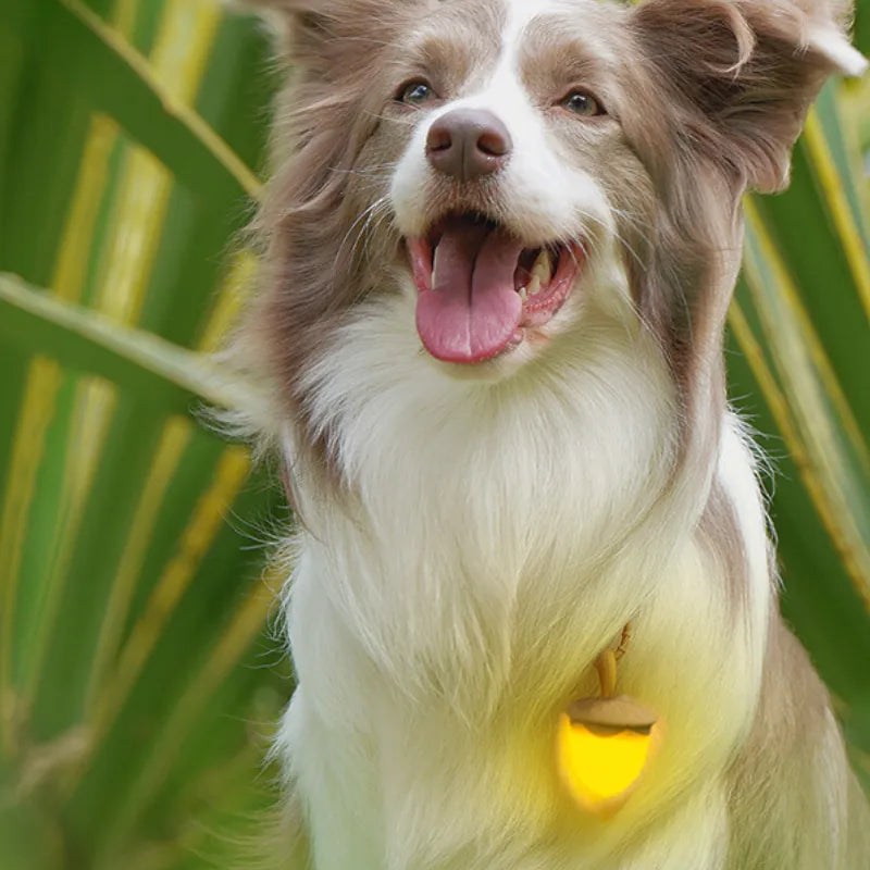 Laroo Nut Blinker LED Safety Light - Brown - Henlo Pets