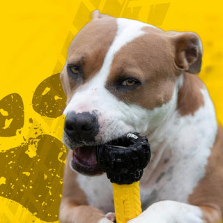 Tonka Real Tough Tyre Barbell Chew and Treat Dispenser Toy