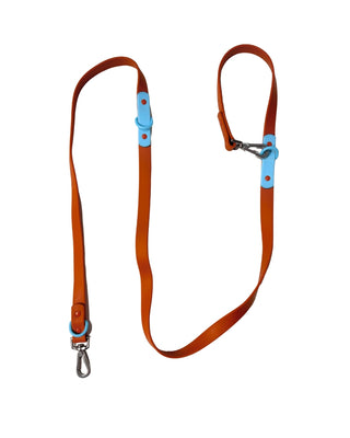 Approved by Fritz Choco Blue Leash | Henlo Pets