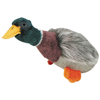 Multipet Migrators Mallard Plush Dog Toy - Henlo Pets