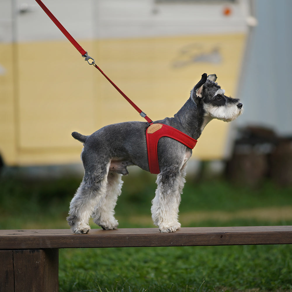 Charlie&#39;s Backyard - Adjustable Easy Harness Red - Henlo Pets