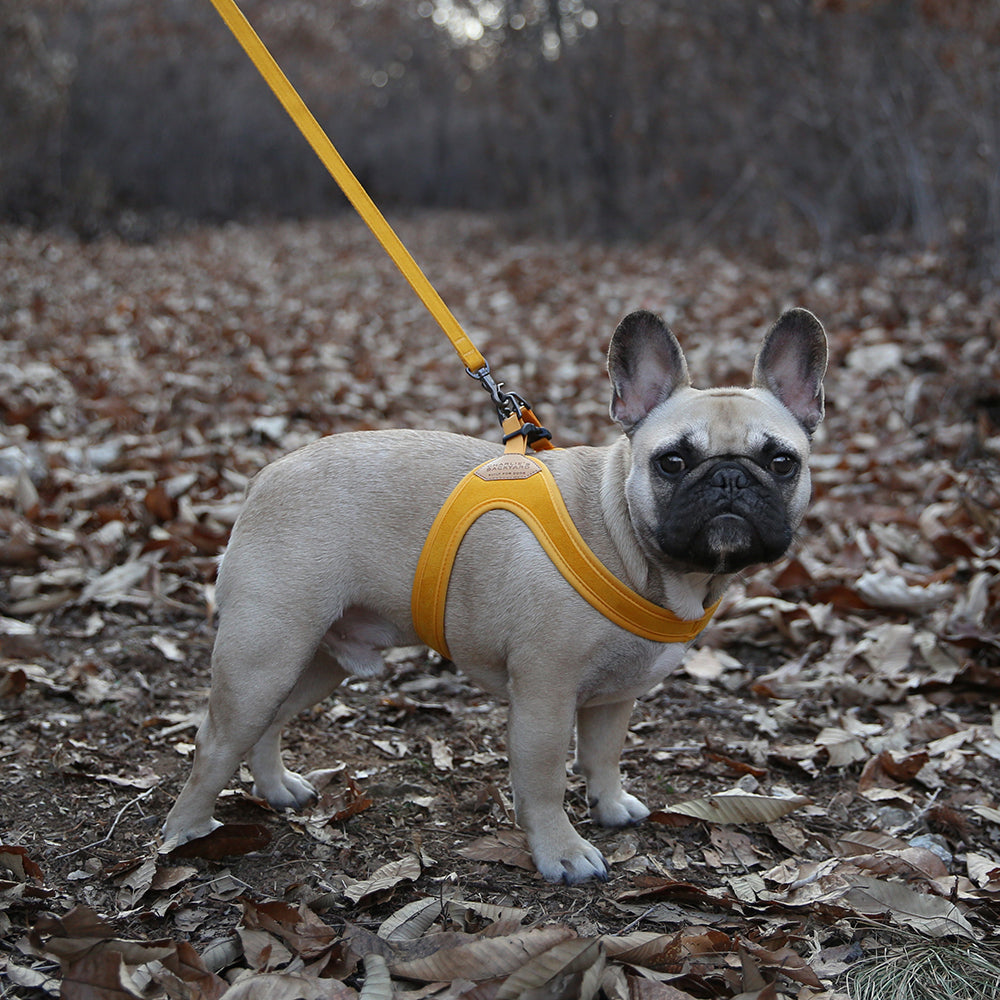 Charlie&#39;s Backyard - Buckle Up Easy Harness Yellow - Henlo Pets