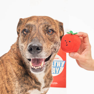 Cherry Tomato Nose Work & Tug Toy - Henlo Pets