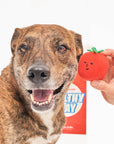 Cherry Tomato Nose Work & Tug Toy - Henlo Pets