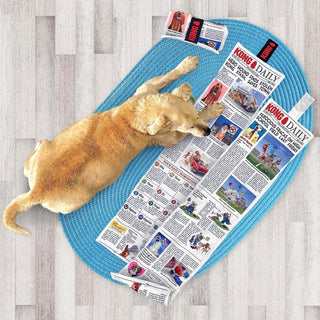 KONG - Daily Newspaper Roll Extra Long Interactive Dog Toy | Henlo Pets
