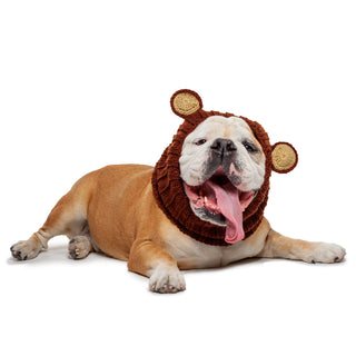 Zoo Snoods Grizzly Bear Snood - Henlo Pets