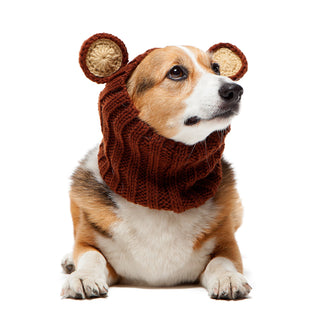 Zoo Snoods Grizzly Bear Snood - Henlo Pets