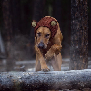 Zoo Snoods Grizzly Bear Snood - Henlo Pets