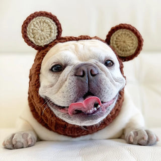 Zoo Snoods Grizzly Bear Snood - Henlo Pets