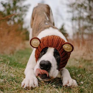 Zoo Snoods Grizzly Bear Snood - Henlo Pets