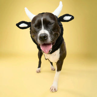 Zoo Snoods Bull Cow Snood - Henlo Pets
