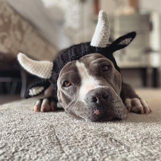 Zoo Snoods Bull Cow Snood - Henlo Pets