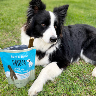 Bell & Bone Lamb, Mint and Manuka Honey Dog Dental Sticks - Henlo Pets