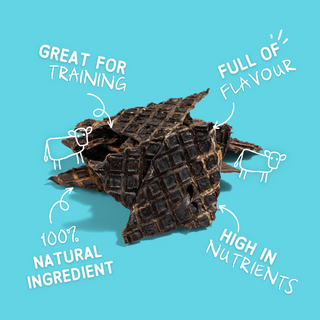 The Pet Project Beef Jerky Dog Treats | Henlo Pets