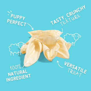 The Pet Project Lamb Ears Dog Treats | Henlo Pets