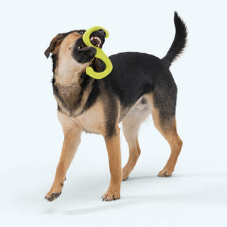 West Paw Bumi Tug of War Dog Toy