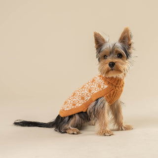 Alqo Wasi - Buttercup Alpaca Dog Sweater - Henlo Pets