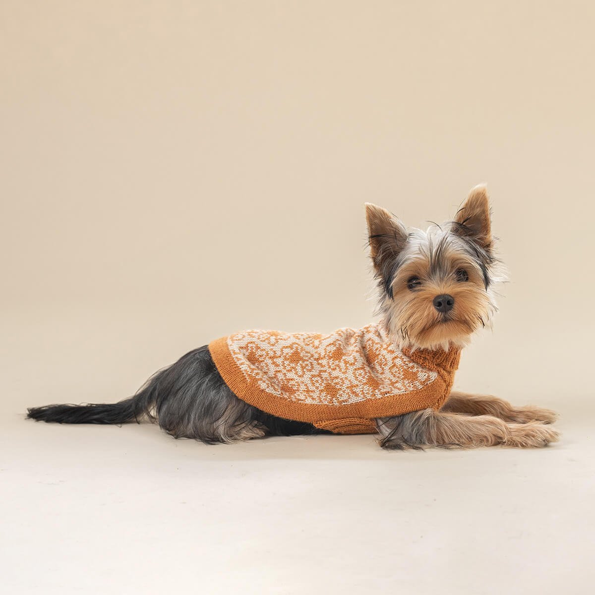 Alqo Wasi - Buttercup Alpaca Dog Sweater - Henlo Pets