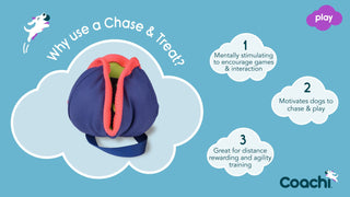 Coachi Chase & Treat Nose-work Dog Toy