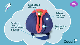 Coachi Chase & Treat Nose-work Dog Toy