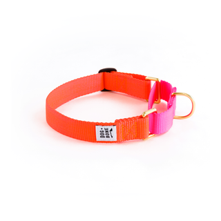 Dog + Bone - Martingale Collar Lava & Hot Pink - Henlo Pets