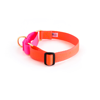 Dog + Bone - Martingale Collar Lava & Hot Pink - Henlo Pets