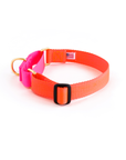 Dog + Bone - Martingale Collar Lava & Hot Pink - Henlo Pets