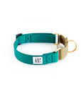 Dog + Bone - Martingale Collar Teal & Gold - Henlo Pets