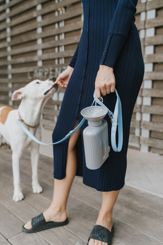 Springer Pets Growler Dog Travel Water Bottle