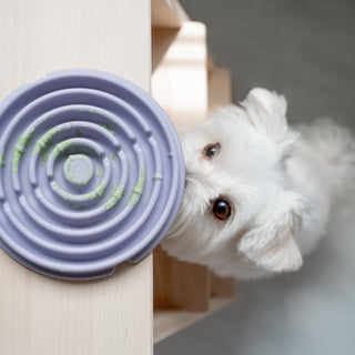 Lunoji Twirl Lick Mat Slow Feeder | Henlo Pets