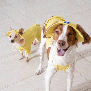 Puppy Gallery Outdoor Cooling Buckle Hat for Dogs - Henlo Pets
