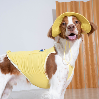 Puppy Gallery Outdoor Cooling Buckle Hat for Dogs - Henlo Pets