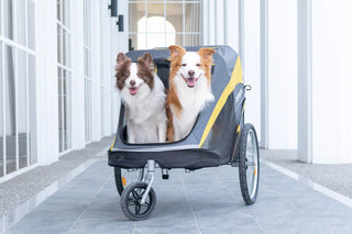 Ibiyaya Heavy Duty Bike Trailer/Jogger Foldable Stroller - Large Pet - Henlo Pets