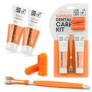 Dogslife Complete Dental Care Care Kit | Henlo Pets