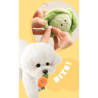 Bite Me Vegetable Ball Plush Dog Toy